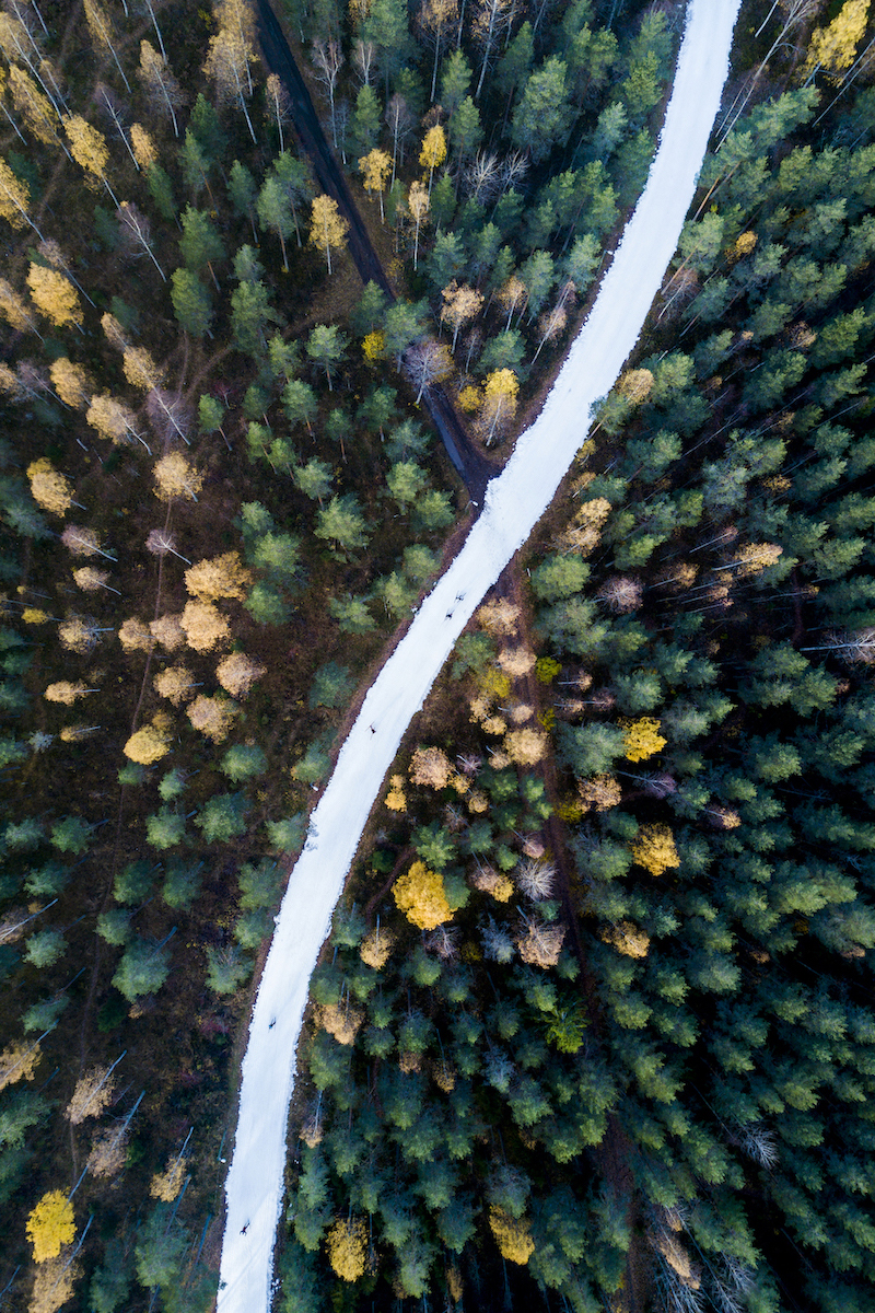 A ski trail in the middle of the forest, photographed from the air.