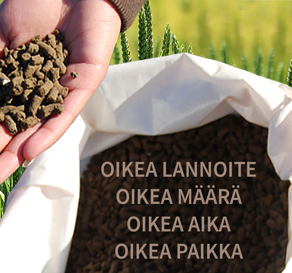 A fertilizer sack and a palm with fertilizer granules. A cornfield in the background.