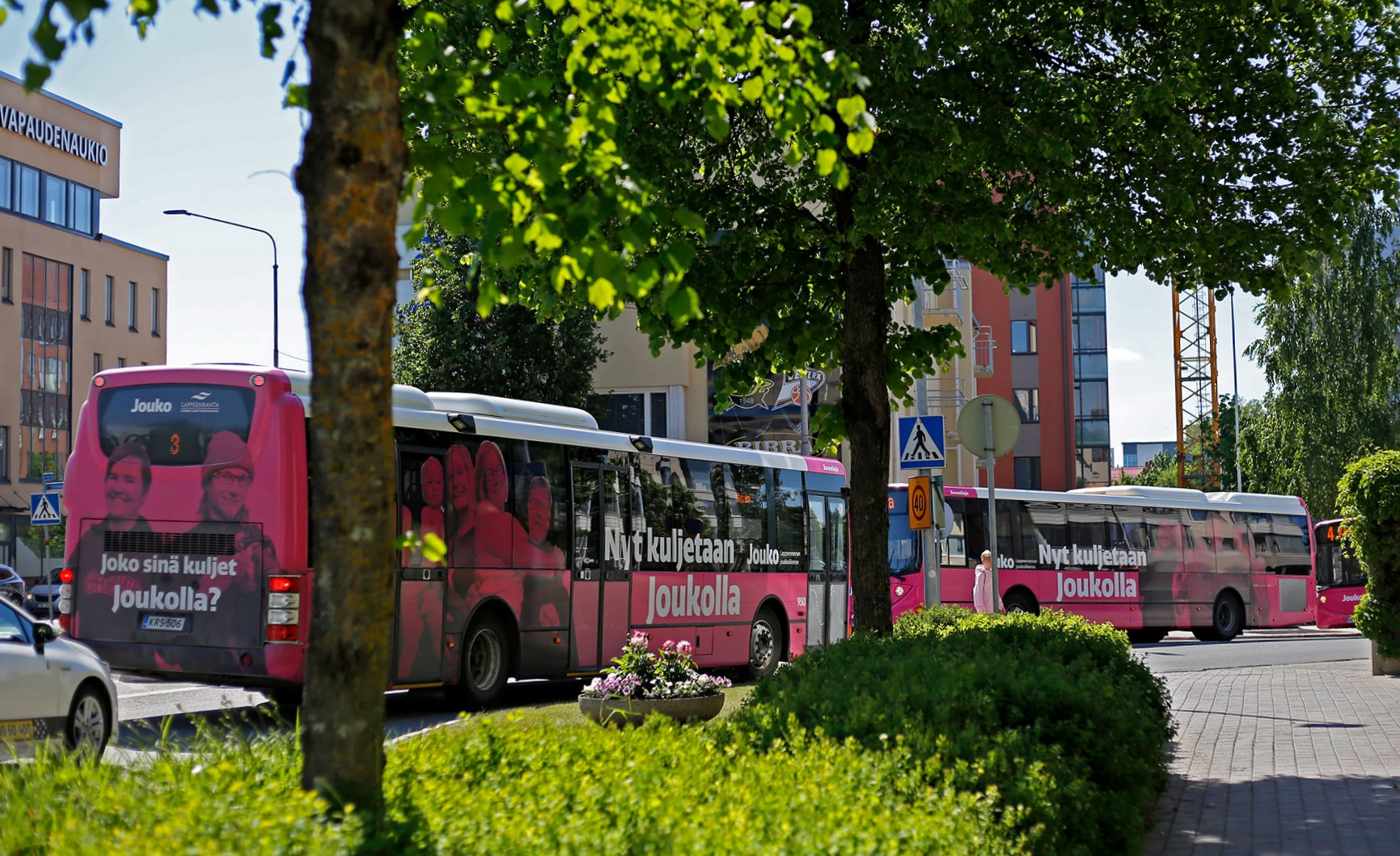 Pink bus behind green bushes and trees.