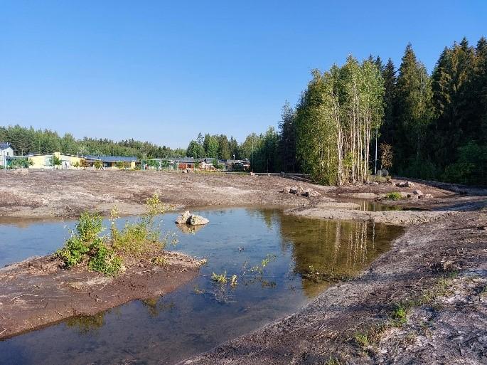 Ruoholammen kosteikon yläpuolinen alue. Puustoa takana ja sininen taivas.